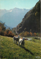 Animaux - Moutons - Pyrénées - Les Deux Petits Agneaux - Collection D'Art Pyrénéen - CPM - Voir Scans Recto-Verso - Andere & Zonder Classificatie