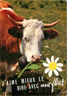 Animaux - Vaches - Carte Humoristique - Etat Pli Visible - Flamme Postale - CPM - Voir Scans Recto-Verso - Koeien