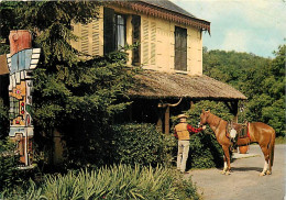 Animaux - Chevaux - CPM - Voir Scans Recto-Verso - Paarden