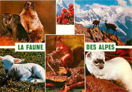 Animaux - Faune Des Alpes - Marmotte - Chamois - Agneau - Ecureuil - Belette - Multivues - CPM - Voir Scans Recto-Verso - Otros & Sin Clasificación