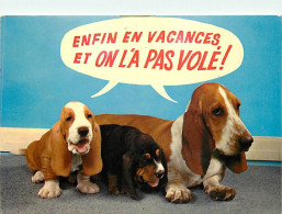 Chiens - CPM - Voir Scans Recto-Verso - Chiens