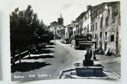 PALIANO  - VIALE UMBERTO I - Frosinone