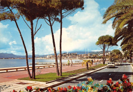 06-CANNES-N°T2680-D/0291 - Cannes