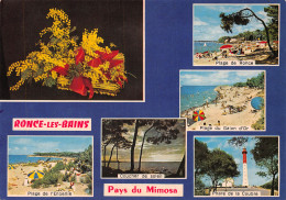 17-RONCE LES BAINS-N°T2680-D/0099 - Autres & Non Classés