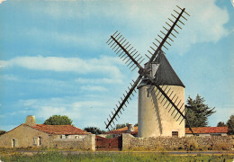 17-ILE DE RE MOULIN DE MORINAND-N°T2681-C/0153 - Ile De Ré