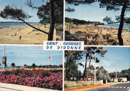 17-SAINT GEORGES DE DIDONNE-N°T2681-B/0331 - Saint-Georges-de-Didonne