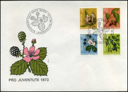 Zwitserland - FDC - Pro Juventute 1973 - FDC