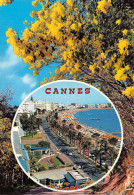 06-CANNES-N°T2682-C/0233 - Cannes