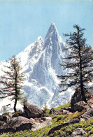 74-CHAMONIX-N°T2683-D/0385 - Chamonix-Mont-Blanc