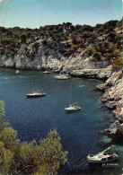 13-CASSIS-N°T2684-C/0021 - Cassis