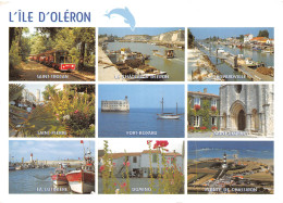 17-ILE D OLERON-N°T2686-C/0309 - Ile D'Oléron