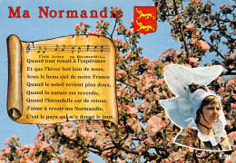 14-NORMANDIE FOLKLORE-N°T2688-A/0289 - Autres & Non Classés