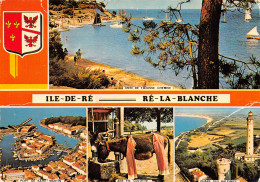 17-ILE DE RE-N°T2687-C/0273 - Ile De Ré