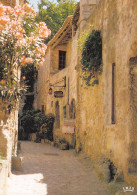 13-LES BAUX DE PROVENCE-N°T2689-C/0285 - Les-Baux-de-Provence