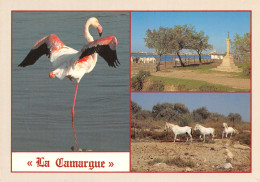 13-LA CAMARGUE-N°T2690-C/0353 - Autres & Non Classés