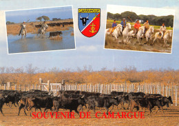 13-CAMARGUE LES GARDIANS-N°T2691-A/0397 - Andere & Zonder Classificatie