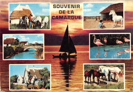 13-CAMARGUE LES GARDIANS-N°T2691-A/0393 - Andere & Zonder Classificatie