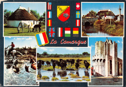 13-CAMARGUE-N°T2691-A/0361 - Andere & Zonder Classificatie