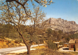 13-MONTAGNE SAINTE VICTOIRE-N°T2691-A/0363 - Andere & Zonder Classificatie