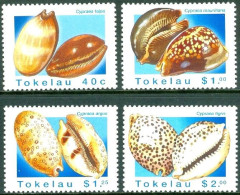 TOKELAU 1996 SEASHELLS** - Muscheln