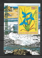 Equatorial Guinea 1976 Flowers Of Oceania IMPERFORATE  MS MNH - Andere & Zonder Classificatie