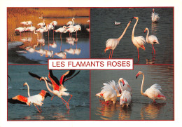 TH-ANIMAUX FLAMANTS ROSES-N°T2690-D/0137 - Birds