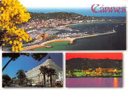 06-CANNES-N°T2691-D/0393 - Cannes