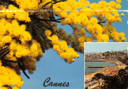 06-CANNES-N°T2691-D/0305 - Cannes