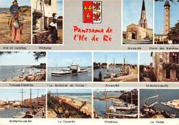 17-ILE DE RE FOLKLORE ANE EN CULOTTE-N°T2691-D/0289 - Ile De Ré