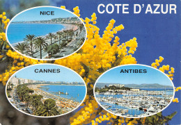 06-COTE D AZUR-N°T2691-C/0087 - Other & Unclassified