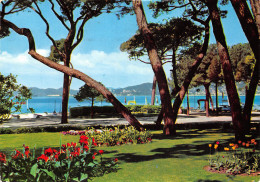 06-JUAN LES PINS-N°T2691-B/0309 - Juan-les-Pins