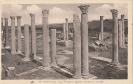 4927 17 Carthage, Les Colonnes.  - Tunisie