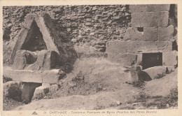 4927 7 Carthage, Tombeaux Puniques De Byrsa.  - Tunisie