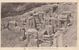 4927 8 Carthage, Stèles Du Temple De Tanit.  - Túnez