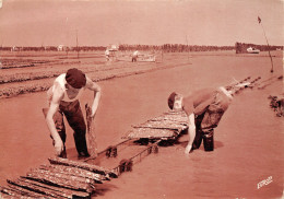 85-COTE ATLANTIQUE FOLKLORE HUITRES SUR ARDOISE-N°T2693-B/0335 - Autres & Non Classés