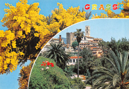 06-GRASSE-N°T2693-B/0225 - Grasse