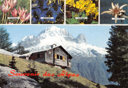 74-LES ALPES-N°T2693-B/0059 - Andere & Zonder Classificatie