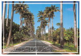 971-GUADELOUPE CAPESTERRE BELLE EAU-N°T2695-A/0283 - Andere & Zonder Classificatie