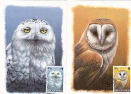 Owl, Owls, Eagle-owl, Hibou Grand-duc, Uhu, Buho, Rapace - Set Of 6,ISLE OF MAN  1990 Carte Maximum Card ,CM,MAXI CARD - Eulenvögel