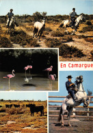 13-CAMARGUE FOLKLORE LES GARDIANS-N°T2694-C/0159 - Andere & Zonder Classificatie