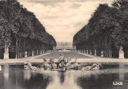 78-VERSAILLES BASSIN D APOLLON-N°T2695-D/0041 - Versailles (Château)