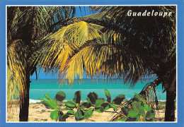 971-GUADELOUPE SAINTE ROSE-N°T2695-D/0021 - Otros & Sin Clasificación