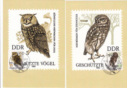 Owl, Owls, Eagle-owl, Hibou Grand-duc, Uhu, Buho, Rapace - Set Of 2,DDR 1982 Carte Maximum Card ,CM,MAXI CARD - Búhos, Lechuza