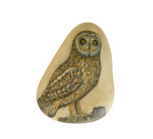 SHORT-EARED OWL Hand Painted On A Beach Stone Paperweight - Dieren