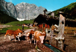 CPM - TIROLER ALMMOTIV - Engalm Am Großen Ahornboden Gegen Grubenkarspitze, 2662 M... Edition Risch-Lau - St. Anton Am Arlberg