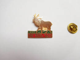 Beau Pin's En EGF , West Covina CA Elks Row Conger , Californie , USA , élan , Wapiti , Orignal - Villes