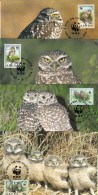 Owl, Owls, Eagle-owl, Hibou Grand-duc, Uhu, Buho, Rapace ,WWF,- Set Of 4,ARUBA 1994 Carte Maximum Card ,CM,MAXI CARD - Eulenvögel