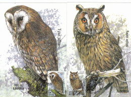 Owl, Owls, Eagle-owl, Hibou Grand-duc, Uhu, Buho, Rapace ,WWF,- Set Of 4,BELGIE 1999 Carte Maximum Card ,CM,MAXI CARD - Owls