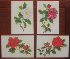 China Stamped Postcard,TP24 Camellia Sinensis，4 Pcs - Cartes Postales