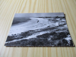 Beg Meil (29).La Grande Plage Et Les Dunes - Carte Animée. - Beg Meil